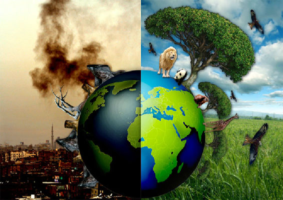  Ο καπιταλισμός «σκοτώνει» και το περιβάλλον